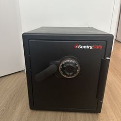 SentrySafe Security Safe