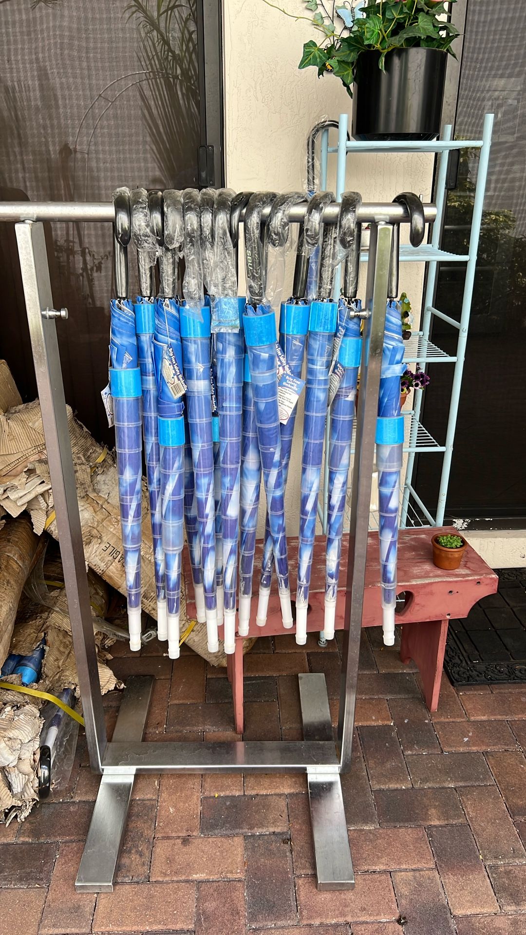 Umbrella ☂️