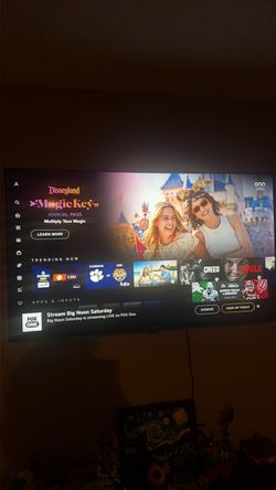 TV : 55 inch Vizio