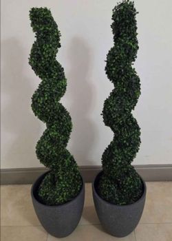 *** JUST REDUCED *** PAIR of 46" Faux Boxwood Spirals in 12in (Tall) Gray Textured Planters (2 for $110) @ Lasting Creations