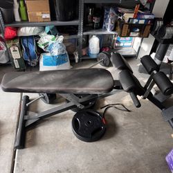 Inclined Bench Leg Raise