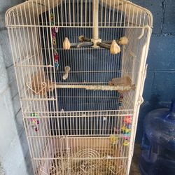 Bird Cage