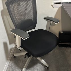 Autonomous Ergo pro Chair