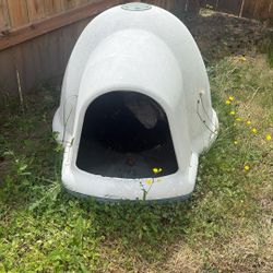 Dog House 