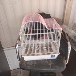 Jaula Pajaro 