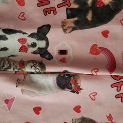 Girls 4/6 Valentine ♥️Leggings With Matching  Headband  New