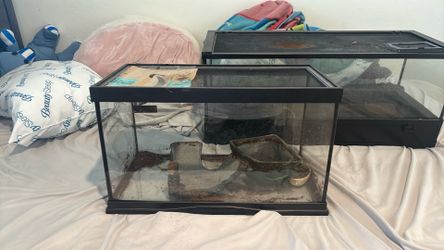 10 gal tank