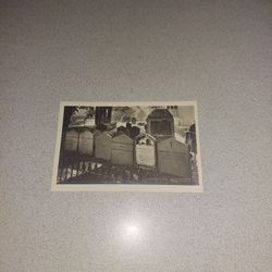 VINTAGE EARLY 1900'S WORDSWORTHS GRAVE GRASMERE UNUSED POSTCARD 