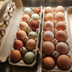 Farm Fresh Eggs