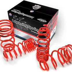 LOWERING SPRINGS 