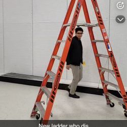 6ft Werner Ladder with wheels