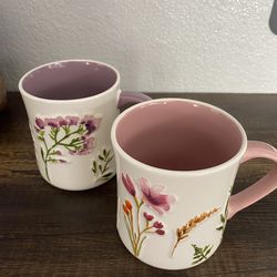 2 Coffee Mugs, Both for $7