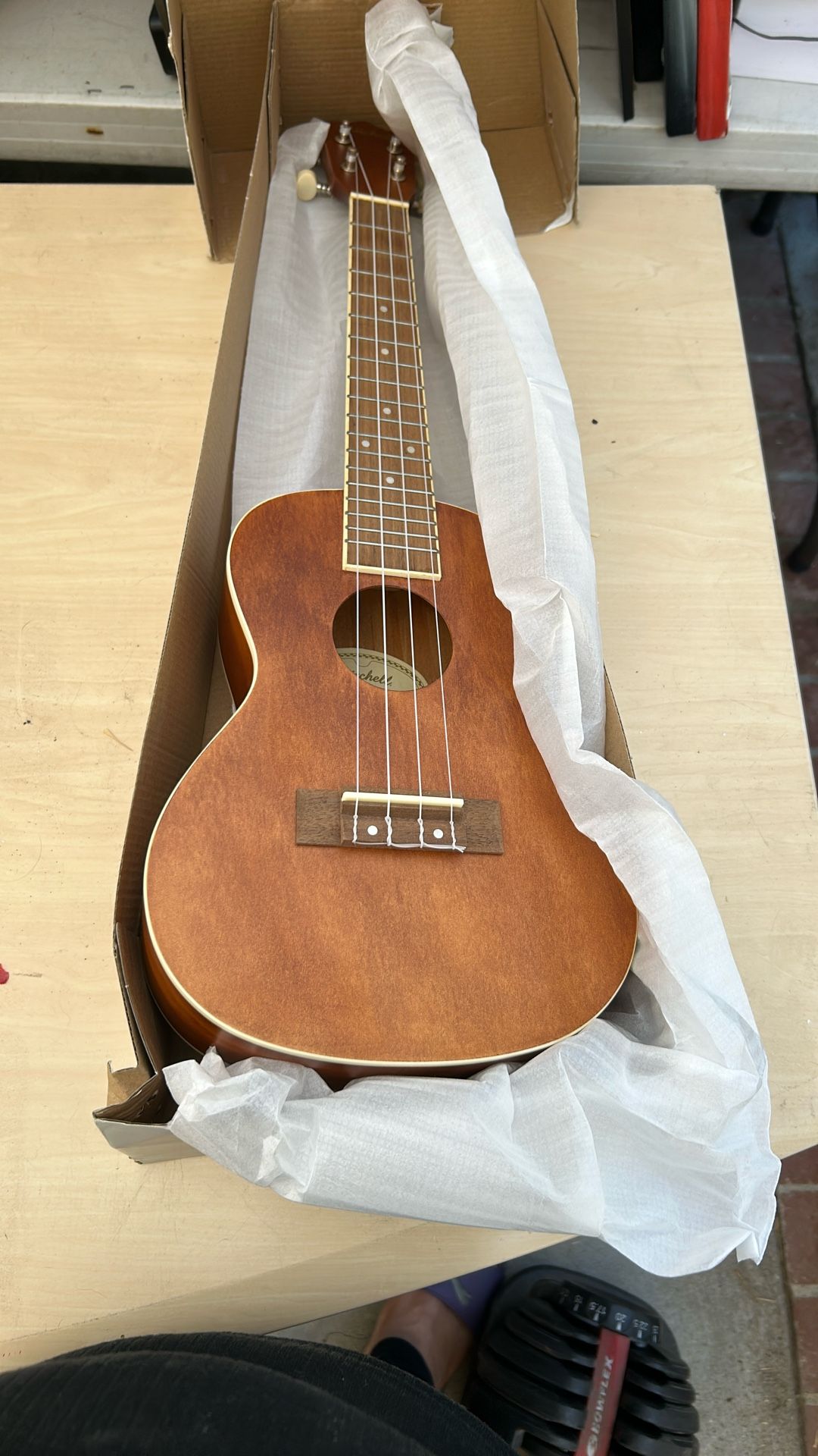 Ukulele