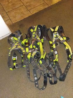 Safety harness