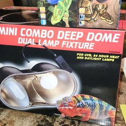 Dual Lamp Fixture