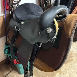 Beautiful Saddle