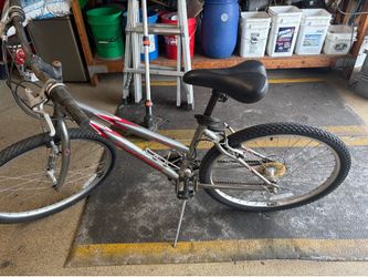 Schwinn Frontier bike
