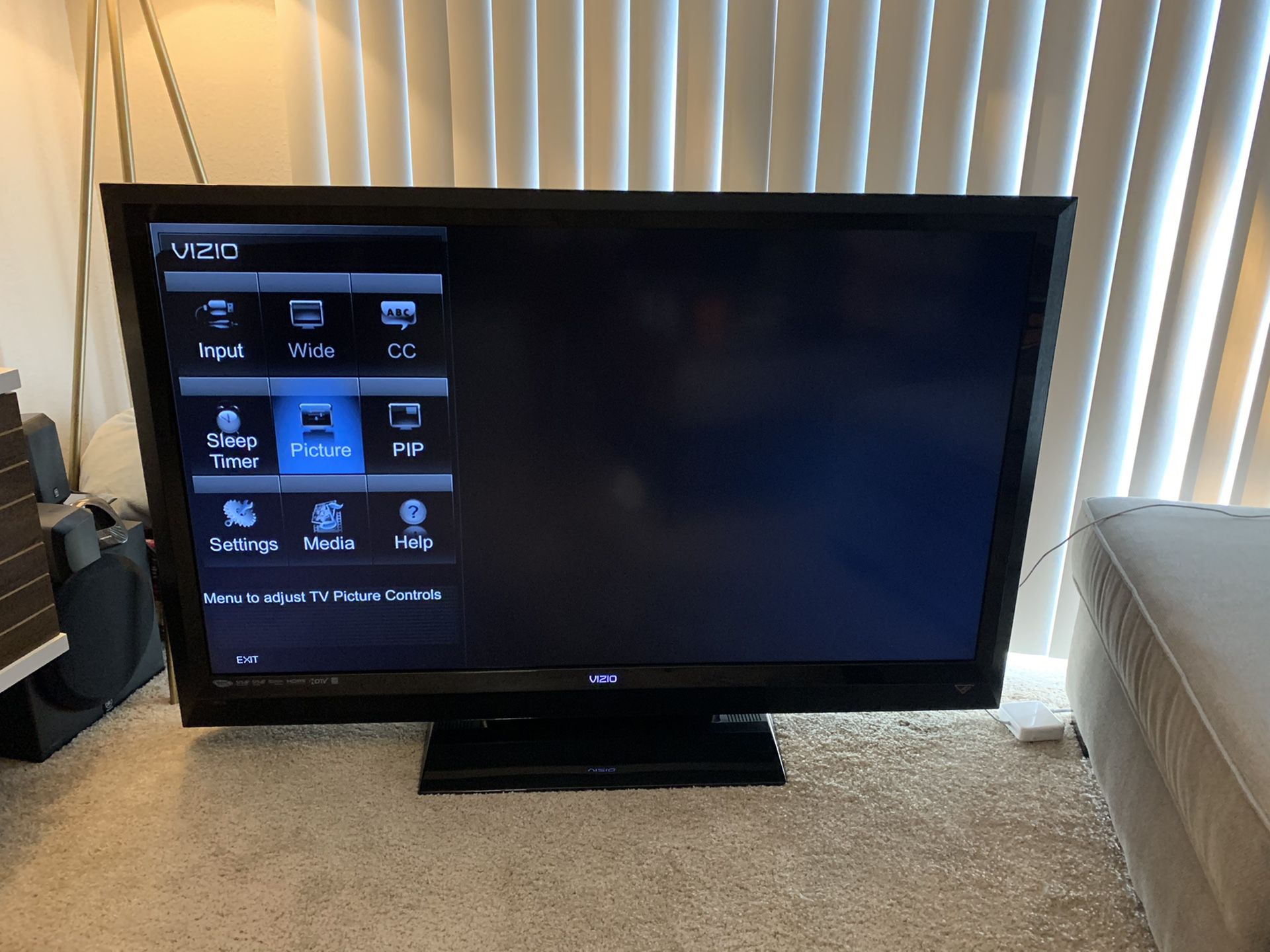 Vizio 55 inch TV + AppleTV