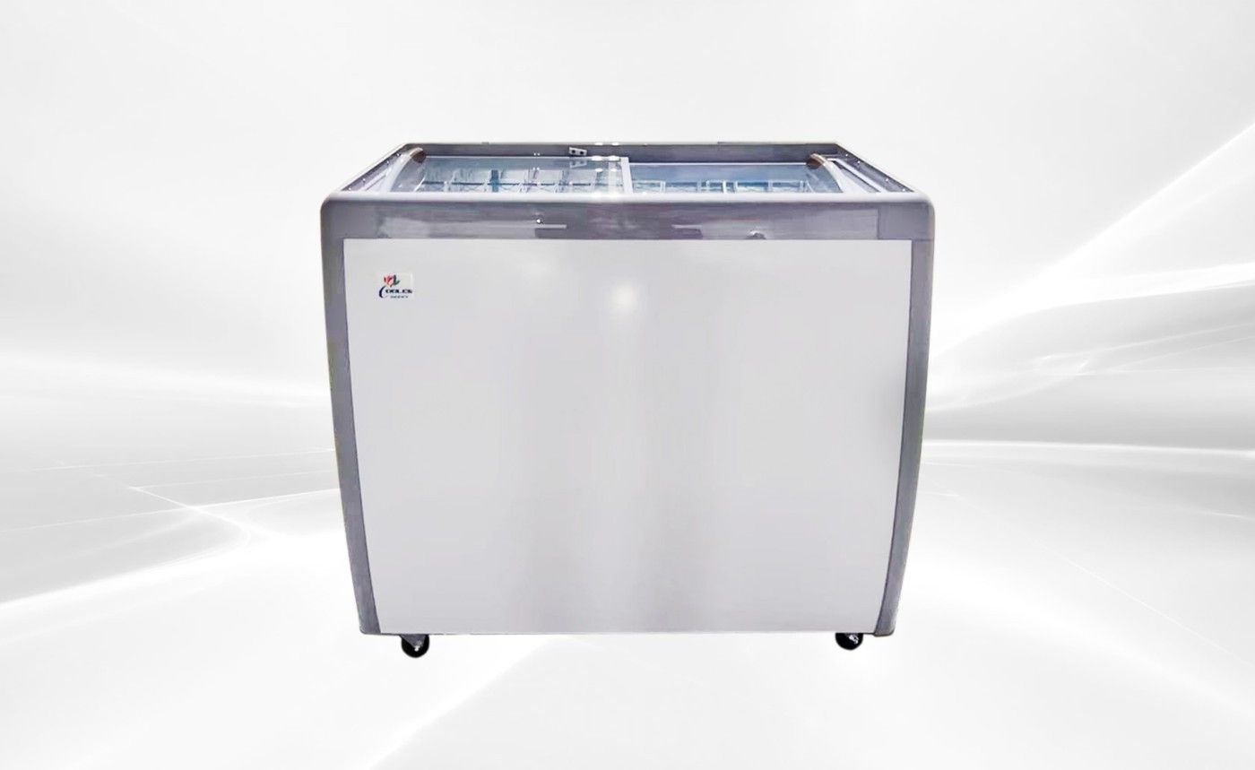 NSF 40 in Ice Cream Glass Freezer 