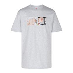 Supreme Tera Patrick Collegiate Tee New T-shirt Grey Size M