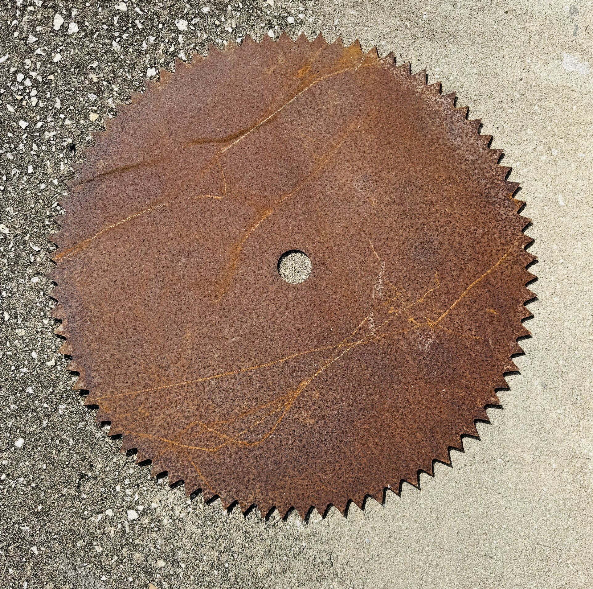 24” Circular Saw Blade $15 - Rusty
