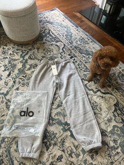 Alo Sweatpants Women (and men)