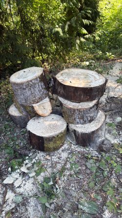 Wood