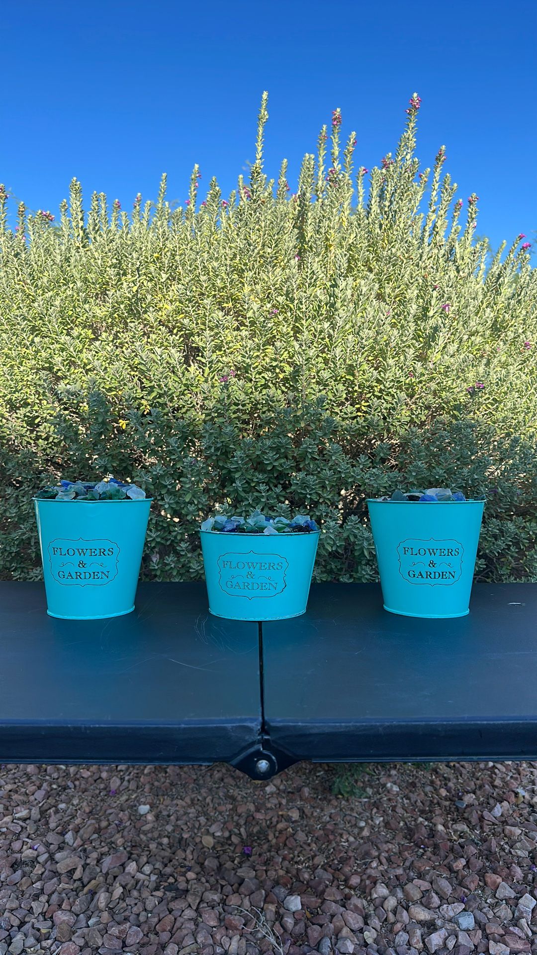 3 Flowers Metal Teal Pots With Soil And Decorative Glass - Used In A Great Condition