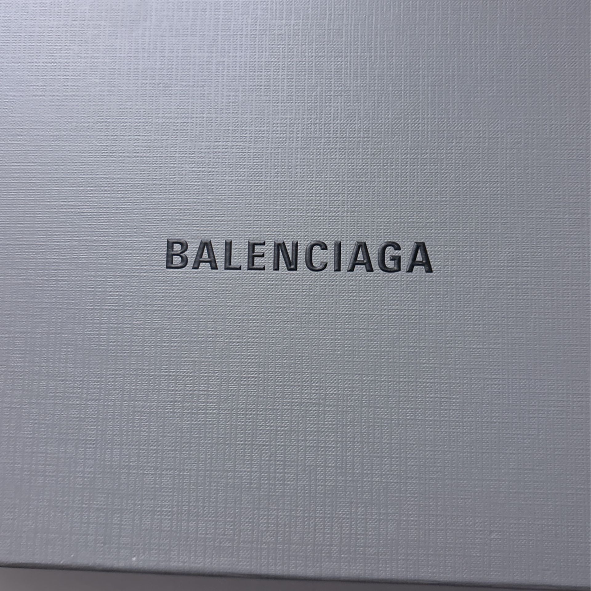 Balenciaga Cheetah Slides