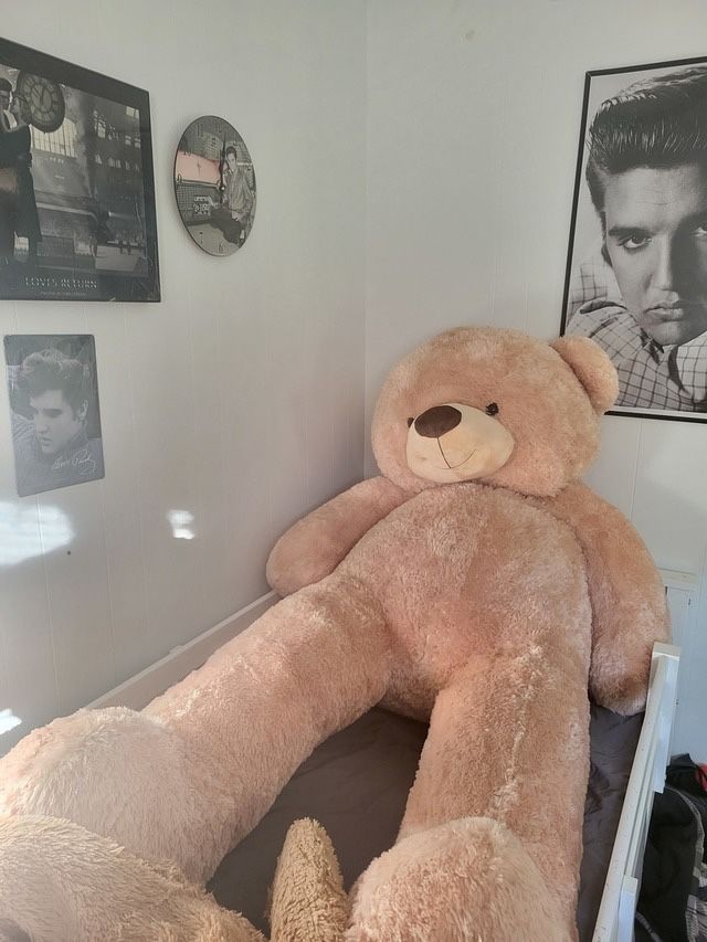 Giant Teddy Bear 