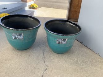 Flower Pots