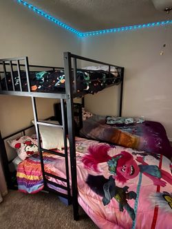 Bunk beds