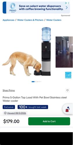 Primo 5-Gallon Stainless steel Water Dispenser