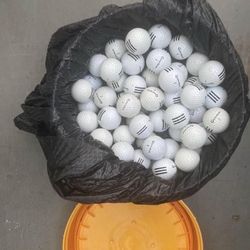 Golf Balls (Count 171) 50 Taylor Made Golf Balls and an Assortment Of Other Golf Balls Great Buy