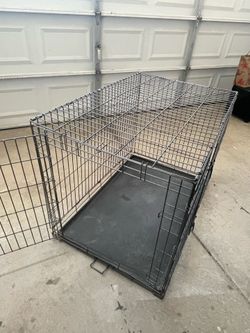 PETCO large Fog Crate