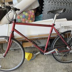 Vintage Gary Fisher Bike (needs TLC)