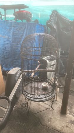 Jaula para cotorro