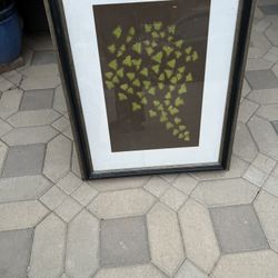 Frame