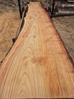 Deador cedar
