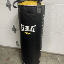 Everlast Punching Bag