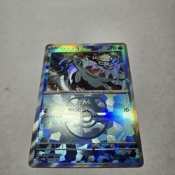 Totodile Evolution Master Ball Lot 