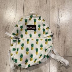 Mini Jansport 2 Pocket Backpack
