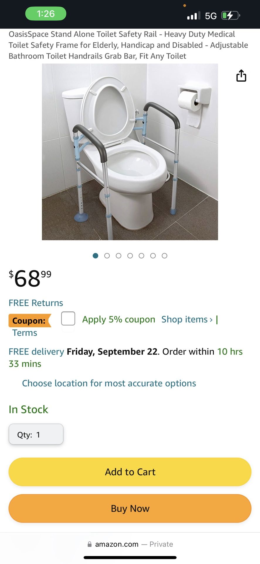 Toilet Safety Rails