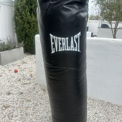 100 Lb Everlast Punching Bag 