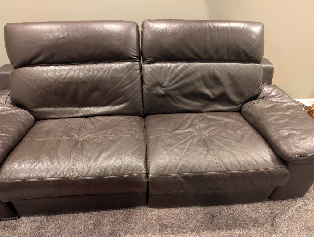 Zgallery Electric Brown Couch