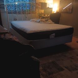 Full Size Mattress / Box SpringSealy Mattress 