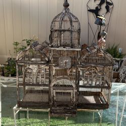 Bird Cage 