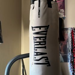 Everlast Punching Bag + Stand + Gloves (12 and 10oz)