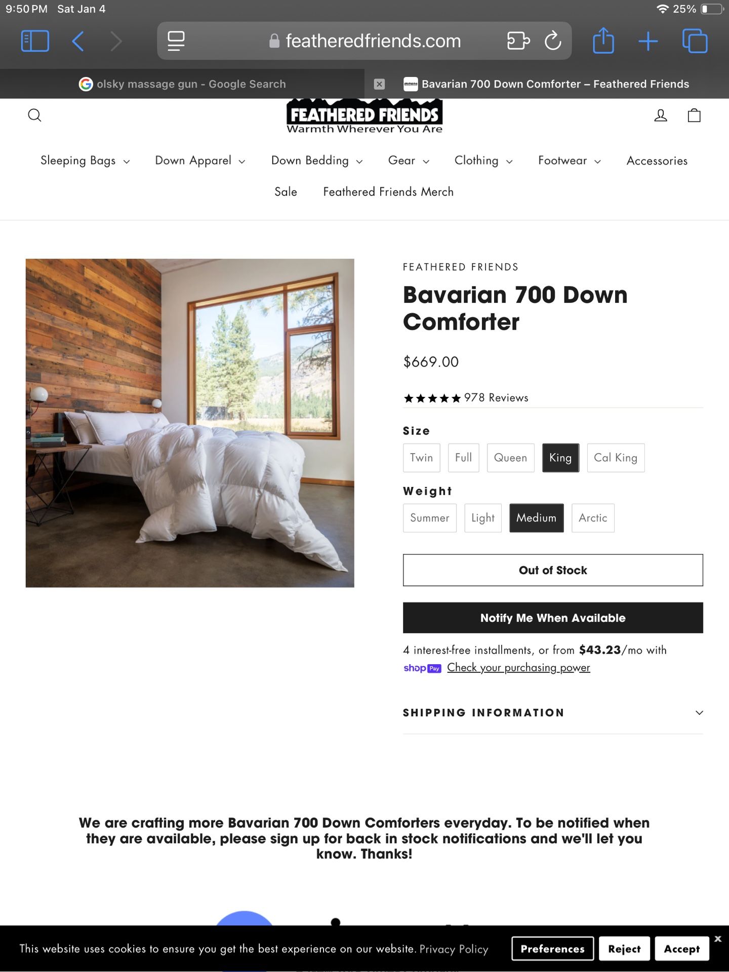 Feathered Friends Bavarian 700 Down Comforter King Size Medium Weight Wirecutter Best Comforter