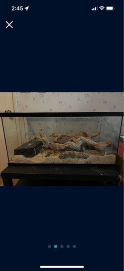 40 gallon rat corn tank